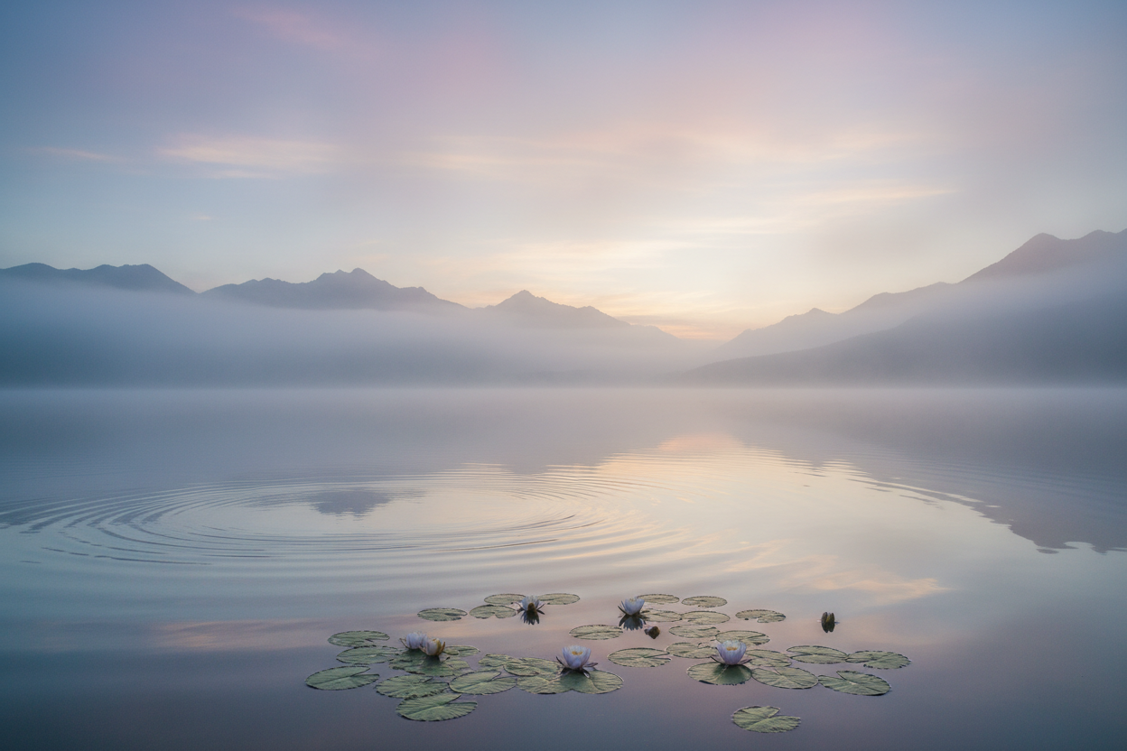 Functional Medicine’s Approach to Stress: Supporting the HPA Axis and Nervous System Naturally