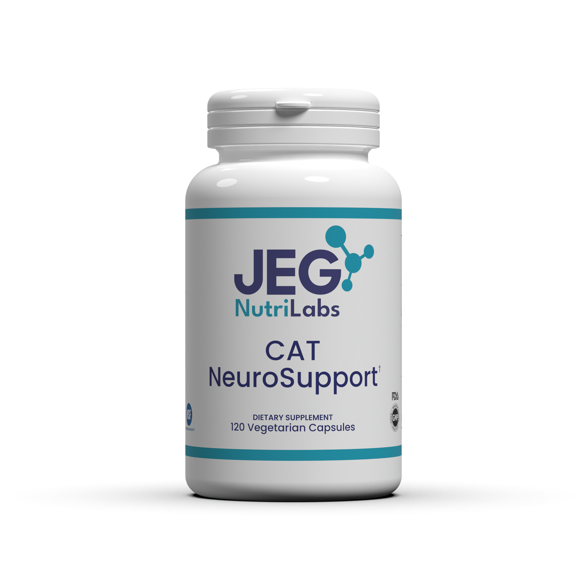 CAT Neuro Support